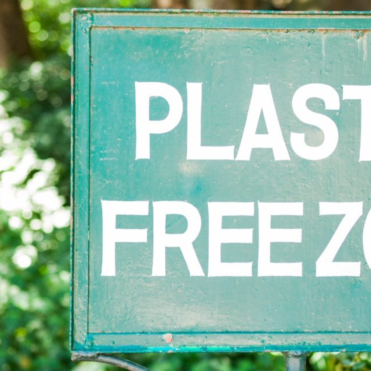 A green sign in front of a green plant with white flowers that reads plastic free zone